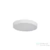 Azzardo Pandino LED mennyezeti lámpa AZ-6587