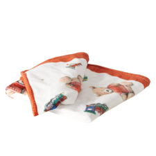  B.G.2061916 Takaró 200x150cm, polyester, piros pulcsis macival, Bailey lakástextília