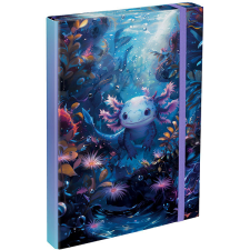 BAAGL Desky na školní sešity A4 Axolotl füzetbox