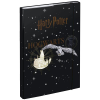 BAAGL Desky na školní sešity A4 Harry Potter Bradavice Erb
