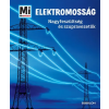 Babilon Kiadó Elektromosság - Nagyfeszültség és szupervezetők - Mi Micsoda (9789632946009)