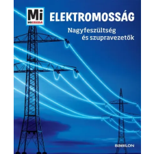 Babilon Kiadó Elektromosság - Nagyfeszültség és szupervezetők - Mi Micsoda (9789632946009) gyermek- és ifjúsági könyv