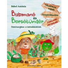 Babmanó és borsótündér gyermek- és ifjúsági könyv