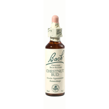 Bach Nr.07. Chestnut Bud virágesszencia 20ml vitamin és táplálékkiegészítő