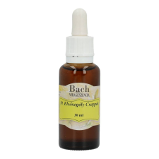 BACH VIRÁGESZ.ELSŐSEGÉLY CSEPPEK 30 ML vitamin és táplálékkiegészítő