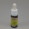  Bach virágeszencia vadrepce 10 ml