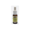 Bach VIRÁGESZENCIA VÖRÖS VADGESZTENYE 10ML