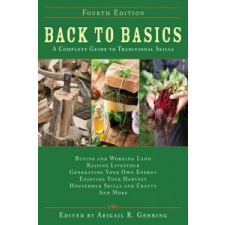  Back to Basics idegen nyelvű könyv