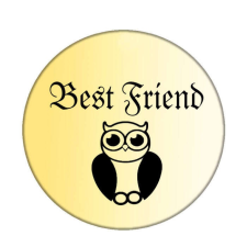 Baglyos Best Friend kitűző kitűző