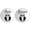  Baglyos páros Best Friends kitűző