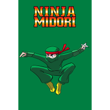 BajoGames Ninja Midori (PC - Steam elektronikus játék licensz) videójáték