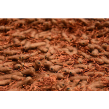 Bakero Bakero Shaggy Goa cooper Szőnyeg (140x200 cm) lakástextília