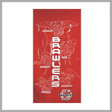  Bakugan fürdőlepedő, strand törölköző 70x140cm
AYM988501 lakástextília