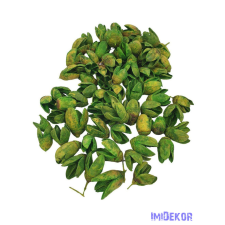  Bakuli 13dkg/csomag - Zöld dekorációs kellék