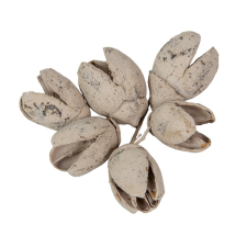  Bakuli falfestékes szürke 16dkg/csom dekorációs kellék