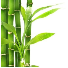  Bambuszrost liszt 200g Paleolit alapvető élelmiszer