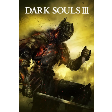 BANDAI NAMCO Entertainment Dark Souls 3 (The Ringed City DLC) (digitális licenc) videójáték