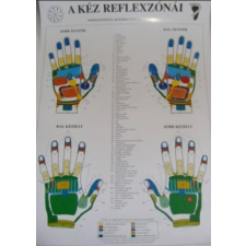  Bánszky Judit: A kéz reflexzónái - A3 ezoterika