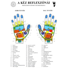  Bánszky Judit: A kéz reflexzónái - Két oldalas A4 életmód, egészség