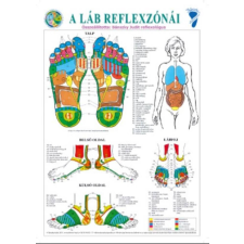  Bánszky Judit: A láb reflexzónái - A3 ezoterika