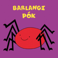 Barlangi pók gyermek- és ifjúsági könyv