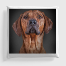 Basic vizsla mintás párna, 45 x 45 cm lakástextília
