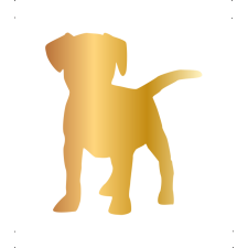  Beagle kutya autó matrica arany #179 matrica