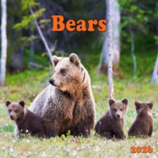  Bears 2026 (Kalendář/Diář) naptár, kalendárium