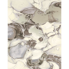  Ber. MYRA 1531 bézs 120 x 180 cm modern szőnyeg lakástextília