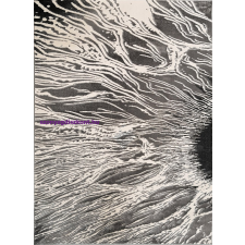Berfin Ber Elite 8752 Szürke 240X330Cm Szőnyeg lakástextília