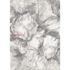 Berfin Ber. VERA 4441 bézs-szürke 160 x 220cm modern szőnyeg