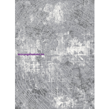 Berfin Ber Zara 8507 szürke 120x180cm Szőnyeg lakástextília