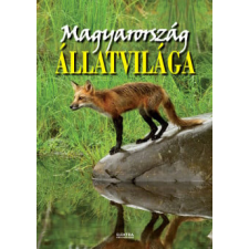 Bernáth István - Magyarország állatvilága egyéb könyv