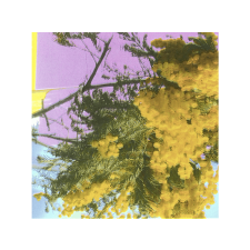 BERTUS HUNGARY KFT. Four Tet - Into Dust (Vinyl EP (12")) elektronikus