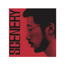 BERTUS HUNGARY KFT. Ryo Fukui - Scenery (Vinyl LP (nagylemez)) jazz