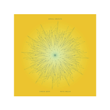 BERTUS HUNGARY KFT. Simon Goff, Katie Melua - Aerial Objects (Vinyl LP (nagylemez)) rock / pop