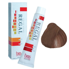 BES Regál Hajfesték 60ml 81 - Hamvas Világosszőke hajfesték, színező