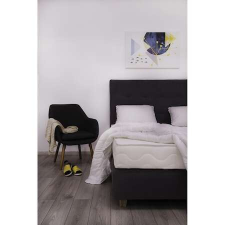 Best Sleep Antibakteriális és Hipoallergén matrac, 87 x 189 cm ágy és ágykellék