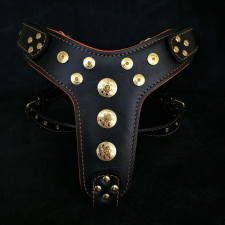 Bestia Bestia Bőr Hám Kutyának M Méret Fekete/Narancssárga BCHN1MOR1 nyakörv, póráz, hám kutyáknak