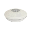 Bestway Bestway, FLOWCLEAR, LED medencelámpa, 3xAA, IP68 (58419)