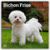  Bichon Frisé 2026 - 16-Monatskalender (Kalendář/Diář)