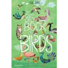  Big Book of Birds – Yuval Zommer idegen nyelvű könyv