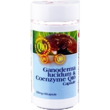 BIG STAR ganoderma + Q10 coenzim 500mg kapszula 60db vitamin és táplálékkiegészítő