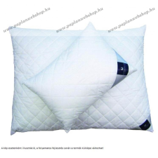  Billerbeck CHANTAL kispárna, 36x48 cm - Billerbeck törzsvásárlóknak lakástextília