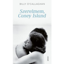Billy O'Callaghan Szerelmem, Coney Island regény