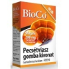 BioCo BioCo Pecsétviasz gomba kivonat kapszula (60 db)