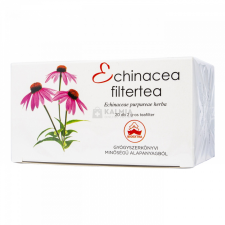 Bioextra Echinacea filtertea 20 x 2 g gyógytea