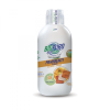 Biopuro felmosószer 1000ml, 6db/karton