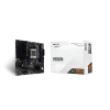 Biostar B850MT2-E DJ