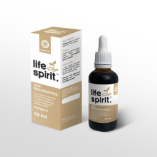 Biowen Life Spirit liposzómás Q10 Koenzim + Rezveratrol tartalmú étrendkiegészítő 50 ml vitamin és táplálékkiegészítő